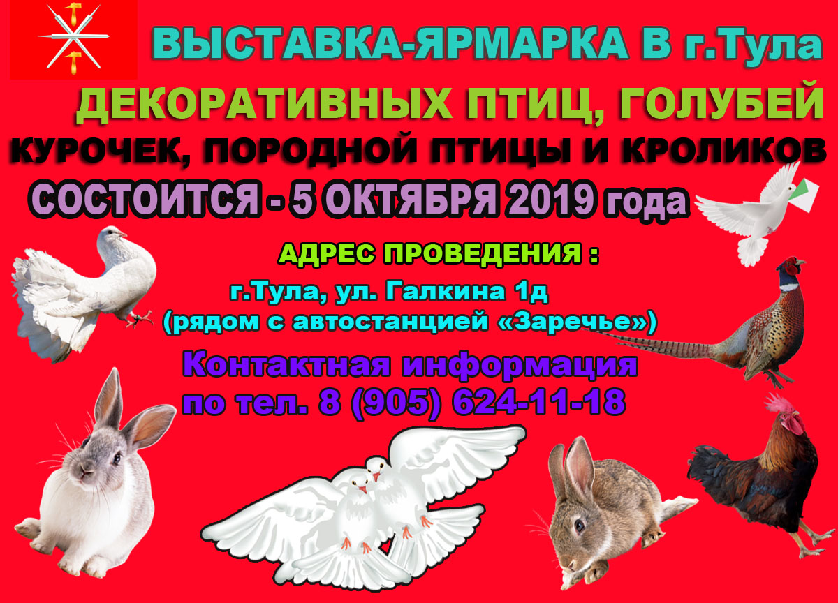 5 Октября 2019 года выставка голубей в Туле