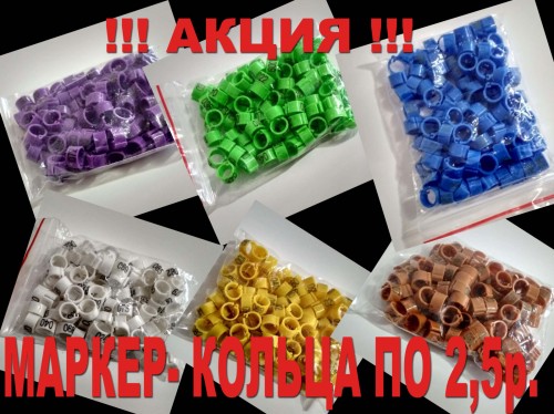 Кольца-маркеры 8мм ОПТОМ. | Купить дешего кольца для голубей